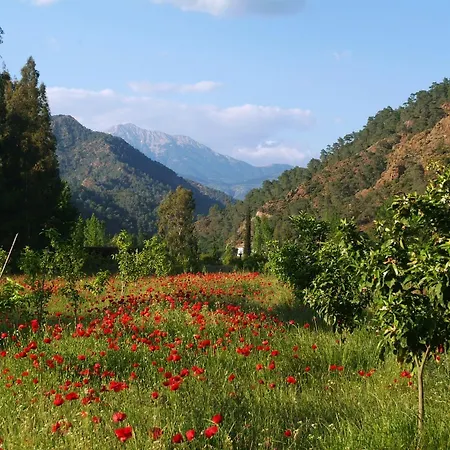 Agroturismo Pastoral Vadi *