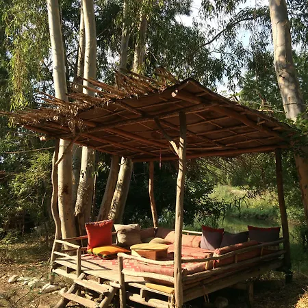 Pastoral Vadi * Yanıklar