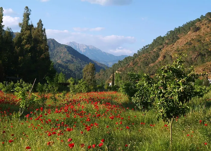 Farm stay Pastoral Vadi *