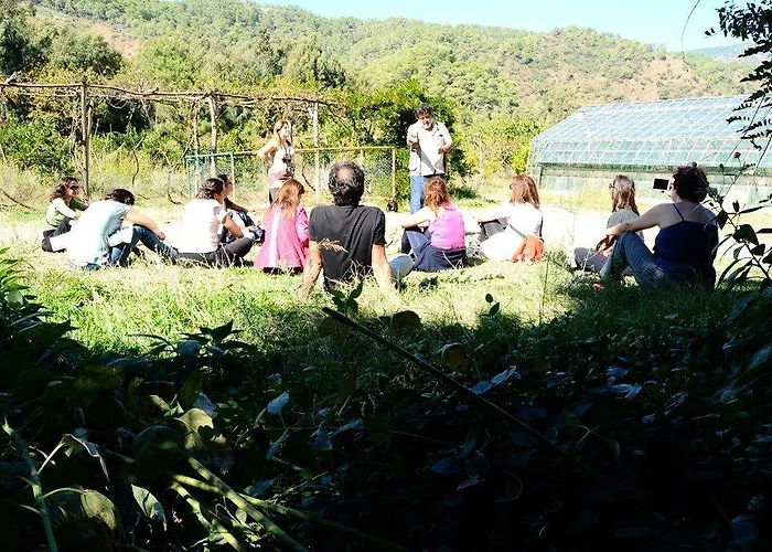 Pastoral Vadi * Yaniklar (Mugla)