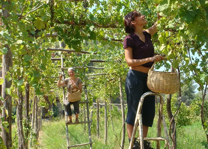 Pastoral Vadi Yaniklar (Mugla)