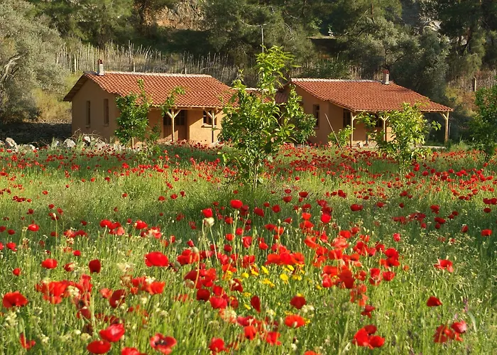 Pastoral Vadi * Yaniklar (Mugla)
