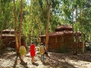 Pastoral Vadi Farm stay Yaniklar (Mugla)