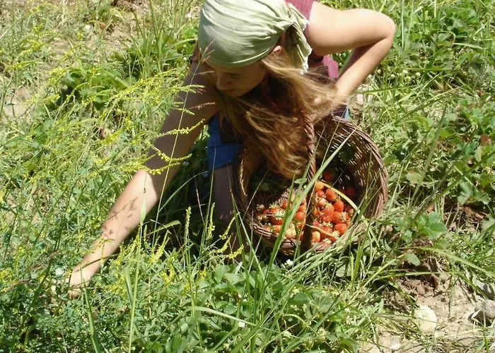 Pastoral Vadi * Yaniklar (Mugla)