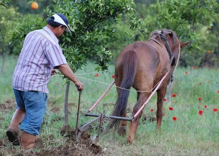 Farm stay Pastoral Vadi