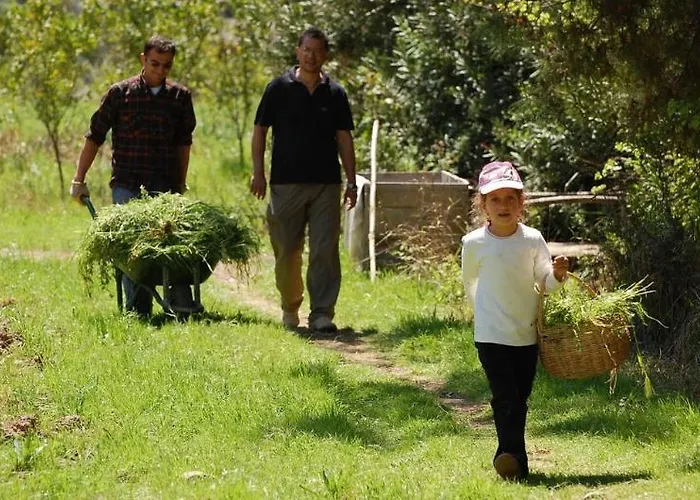 Pastoral Vadi Farm stay