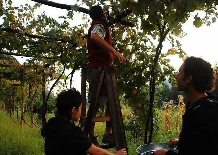 Pastoral Vadi Farm stay *