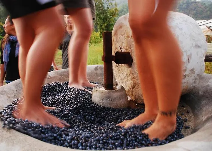 Farm stay Pastoral Vadi Yaniklar (Mugla)