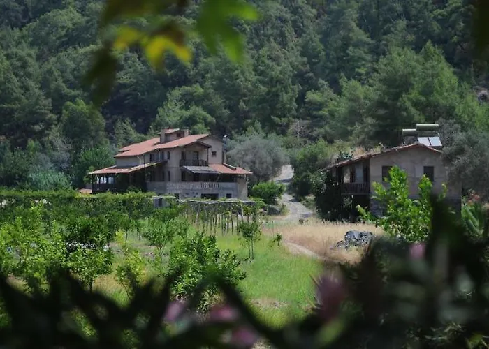 Pastoral Vadi Farm stay Yaniklar (Mugla)