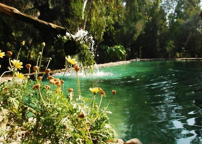 Pastoral Vadi Farm stay *