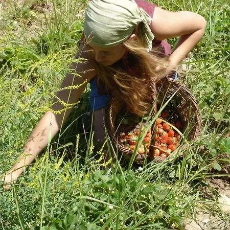 Pastoral Vadi * Yanıklar