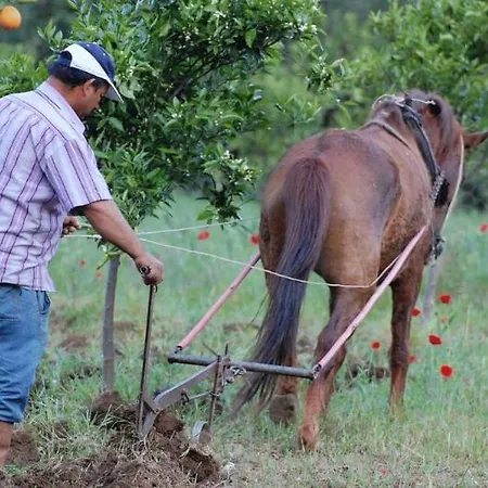 Farm stay Pastoral Vadi