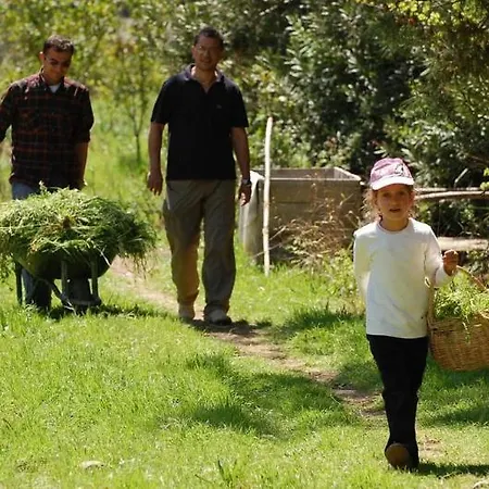 Pastoral Vadi Farm stay