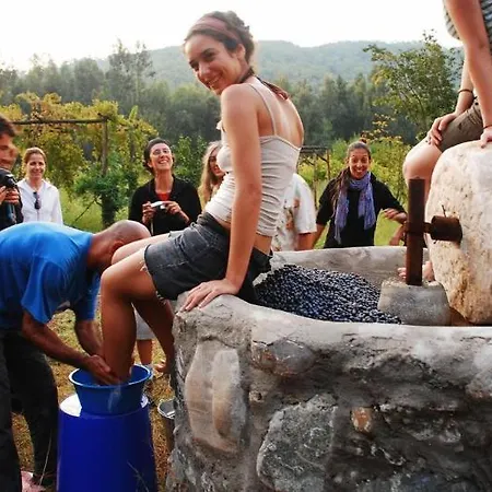 Κατάλυμα σε φάρμα Pastoral Vadi *