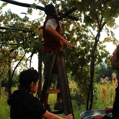 Pastoral Vadi Farm stay *