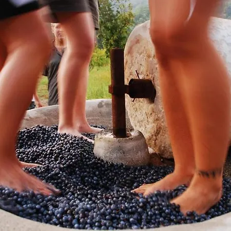 Farm stay Pastoral Vadi Yaniklar (Mugla)
