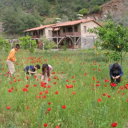 Pastoral Vadi Yaniklar (Mugla)