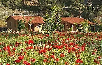 Farma Pastoral Vadi Yanıklar