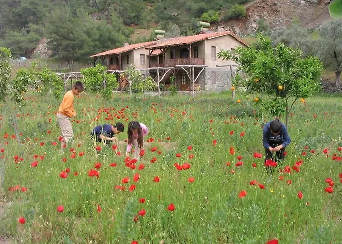 Pastoral Vadi Yanıklar